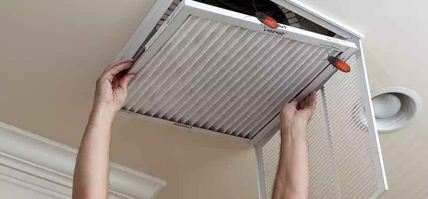 Preventive Cockroach-Proofing for Ducts in Universal City