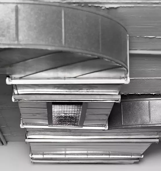 Professional Air Duct Pest Removal in Universal City, TX