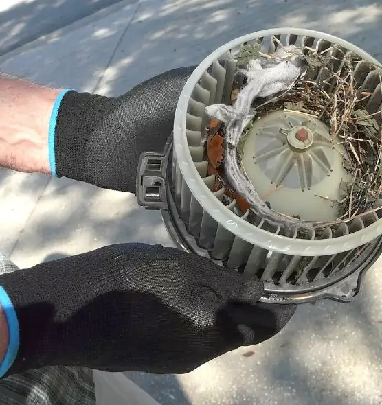 About Air Duct Rat Removal in Universal City, TX